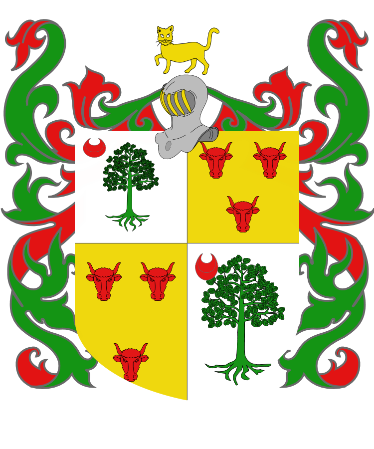 Shield image