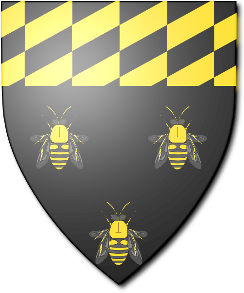 Shield image