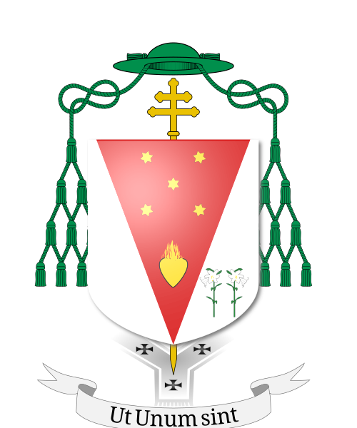Shield image