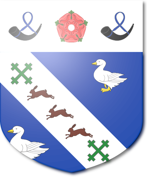 Shield image