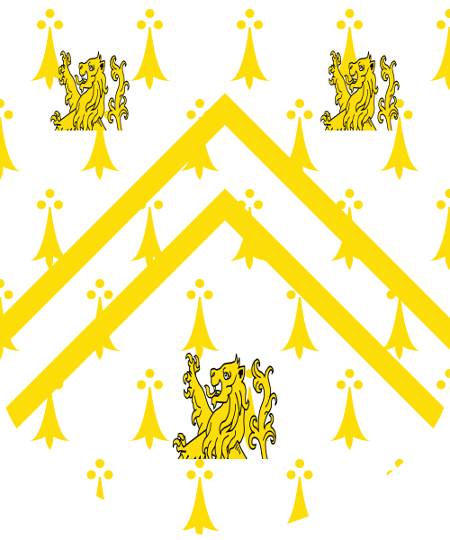 Shield image
