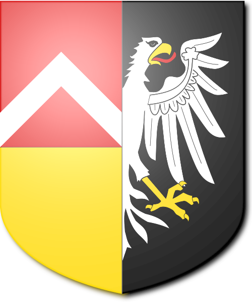 Shield image