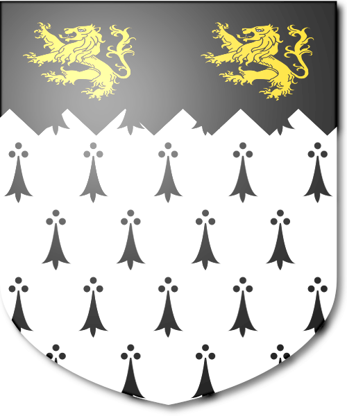 Shield image