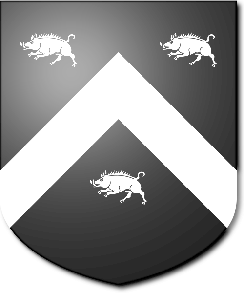 Shield image