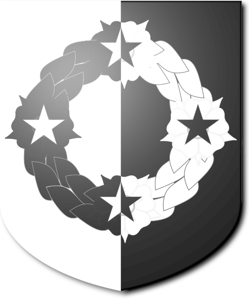 Shield image