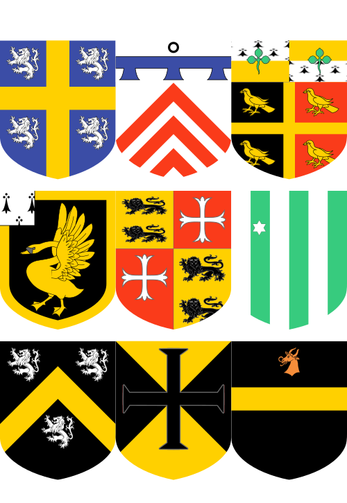 Shield image