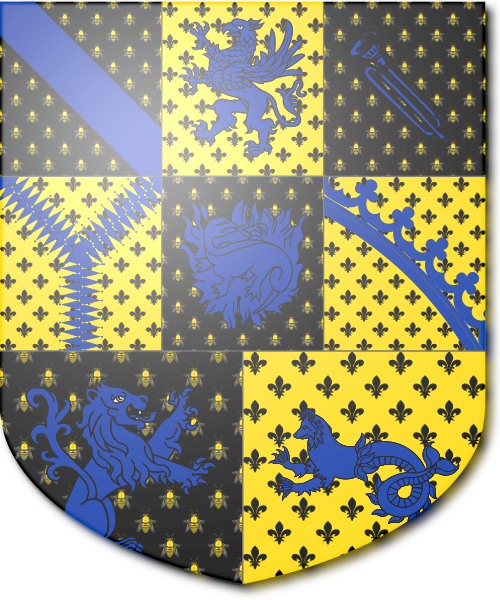 Shield image