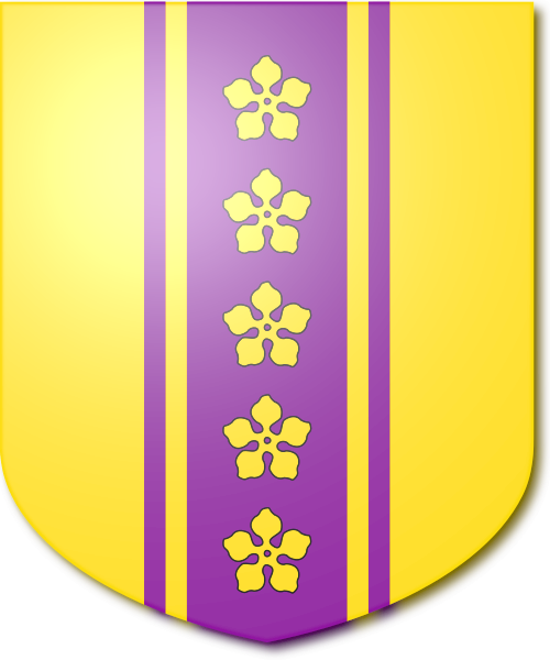 Shield image