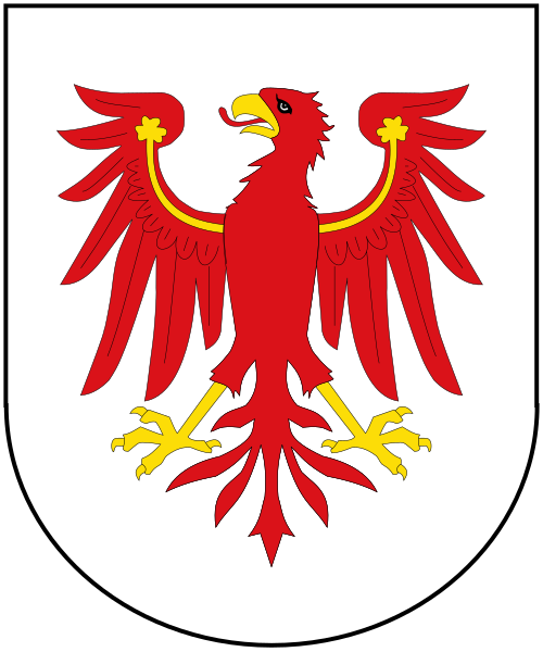 Shield image