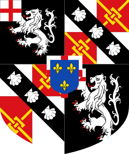 Shield image
