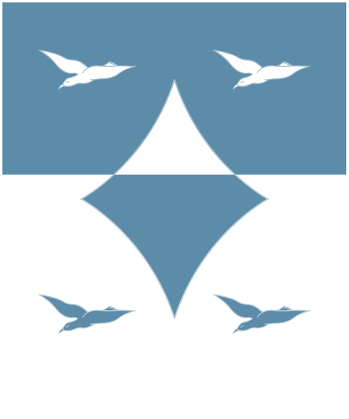 Shield image